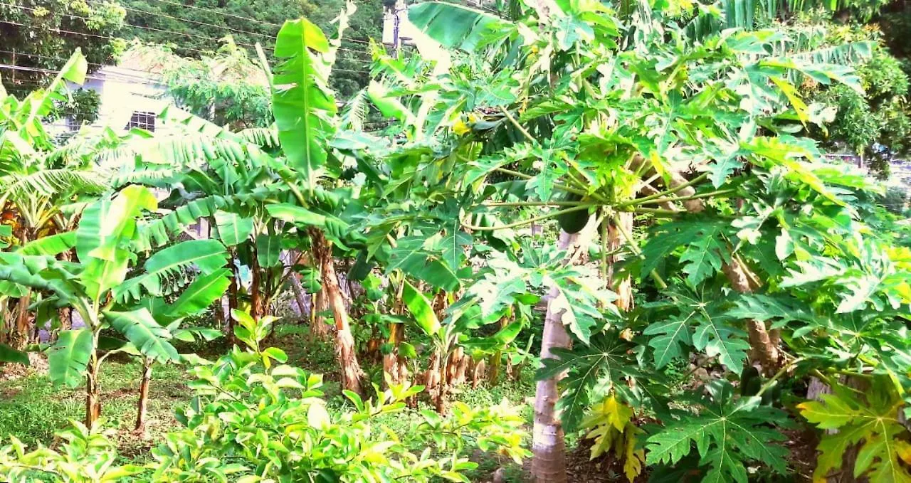 River Breeze Villa Soufrière
